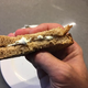 PICTURED: Not a mayo sandwich